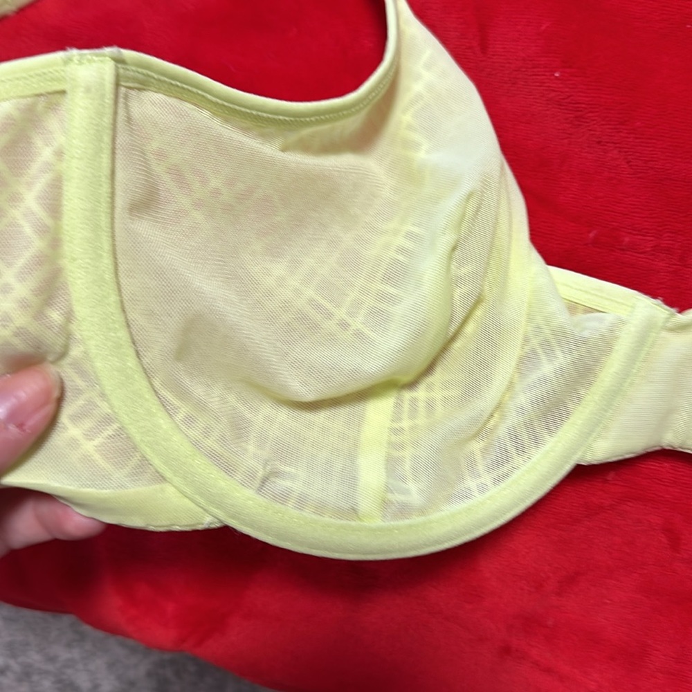 Two Bras - Picture 5 of 5